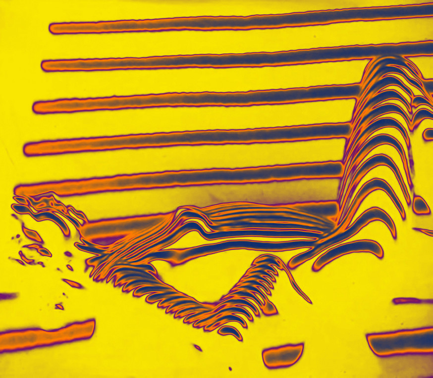 Luce interiore (Evelyn)